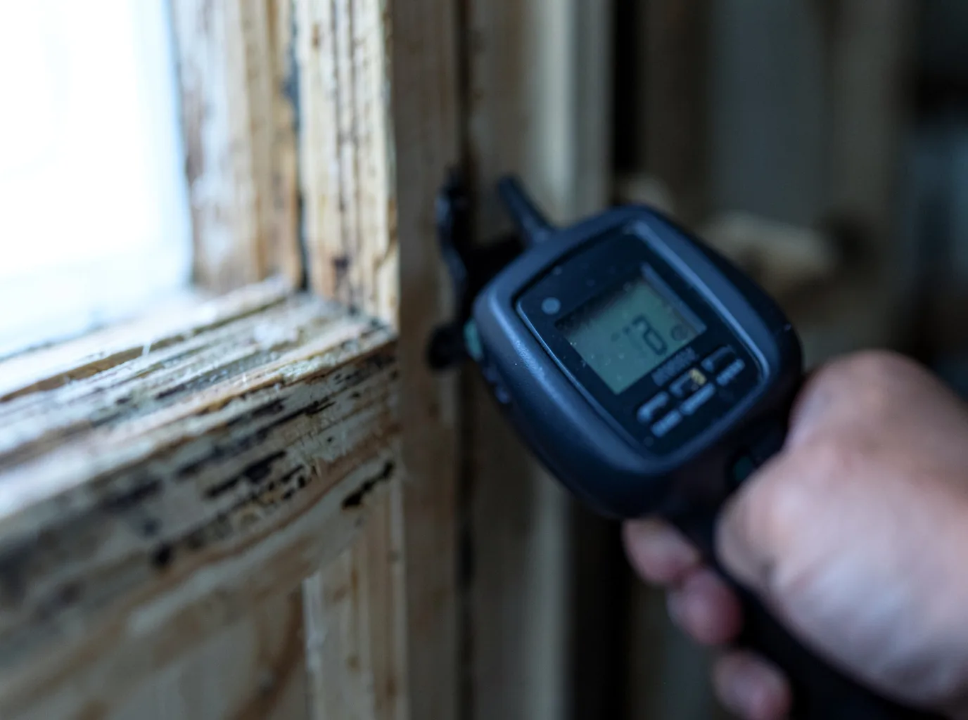 Moisture Inspection And Documentation in Vadito, NM